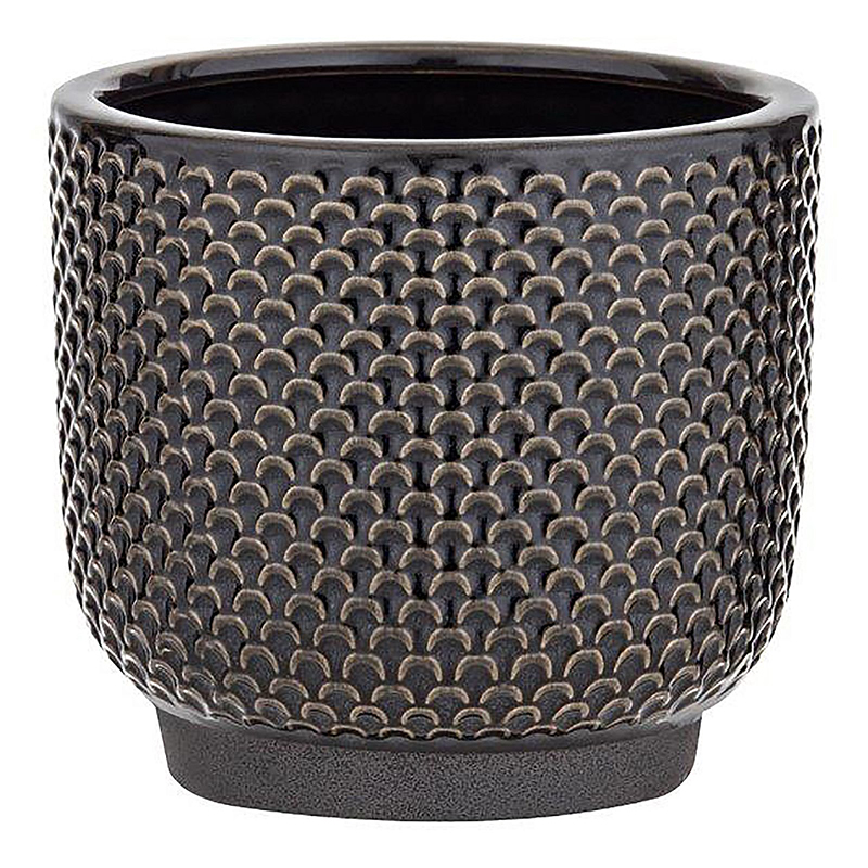 Alina Pot